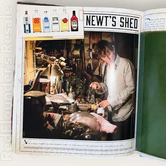 The Case of Beasts | Explore the Film Wizardry of Fantastic Beasts | Hardcover - Picture 10 of 12